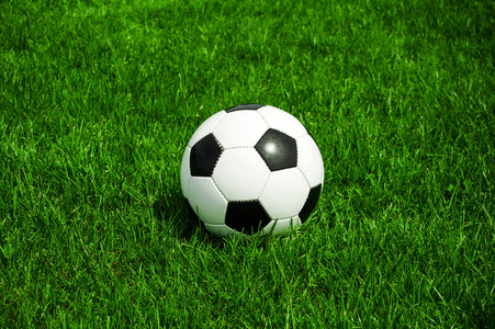 足球比分波胆网多平台下载